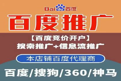专业SEM代运营公司案例分析